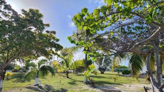 Andros Waterside Retreat - 2
