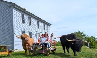 Highland Catttle Farm - Cozy Suite for Two - C - 8