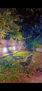 AlHaider GuestHouse - 4