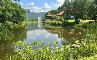 Baan Botanica - An Estate Beyond Imagination - 2