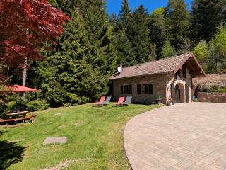 Gîte dans les Vosges - 4 pers. - FR-1-589-862 - 0