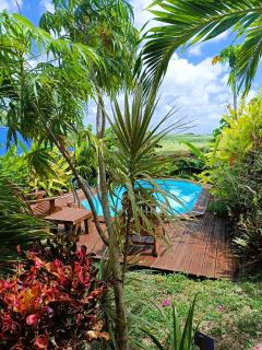 Gites kaz à klemence - Bungalow karapat - jacuzzi privé et piscine au cœur de la nature à Anse-Bertrand - 0