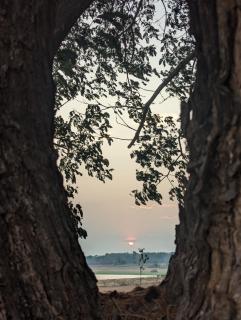 Waterwoods Lodge Kabini - 5