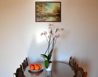 Apartment Matea - Petrovac na Moru - 3