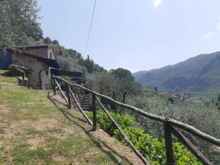 Tuscan house, exclusive pool, private garden - 7