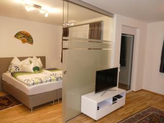 Chads City Apartment mit Tiefgarage free parking - Graz - 6