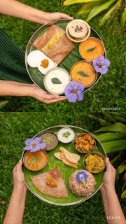 Mango Orchards Two - 8