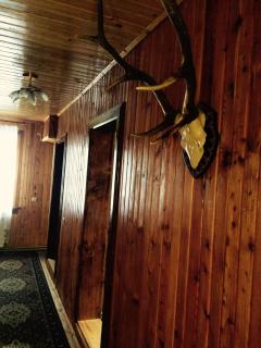 Sadyba Zavitaiko - 8