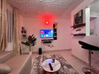 Sons Homes Roysambu 1bedroom unit - 4