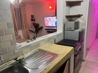 Sons Homes Roysambu 1bedroom unit - 3