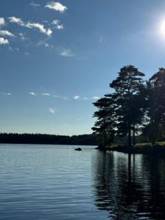 Holiday home, by lake Simsjön and mountain Billingen - 4