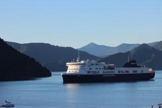 Waterfront Retreat on the foreshore of Queen Charlotte Sound - 9