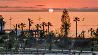 Mar y Vida - 2