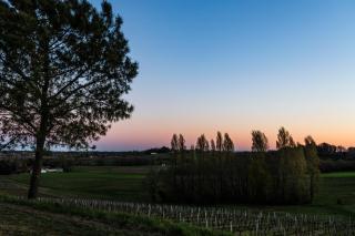 Vineyard Cabins at Château Puynard - 3