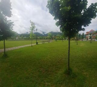 Montain apartament - 5
