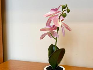 Pink Sea Breeze - Stylish City Retreat - 2
