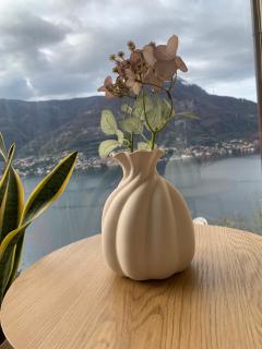 Top Lake View - 3