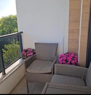 Elena Residence 15min from Belgrade - 9