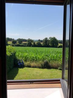 Daisy Cottage with seasonal Swimming Pool - 3