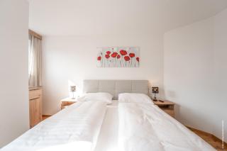 Apartments Neundlinger - Ski & Nature - 6