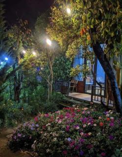 LiLy Homestay - 3