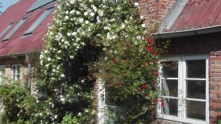 Birkenhof - 4