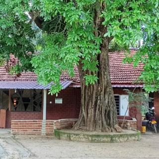 Naiad Eco okkampitiya - 4