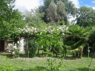 Chambre d'hôte Amitié et Jardin - 5