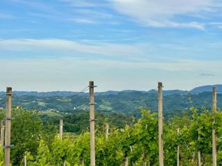 Tomajna Vineyard Stay - 8