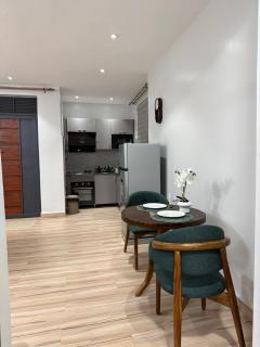 Luxurious 1BR Apt with power backup in Kisaasi - 4