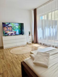 Central Loft Studio Târgoviște - 8
