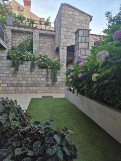 Lapad Sunshine Apartment - 3