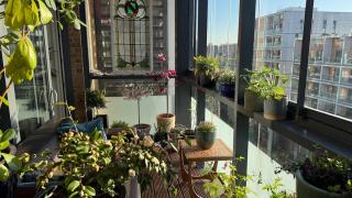 Elegant Boutique 4 bed 3 bath with Terraces - 1