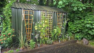 The Green Room - 1