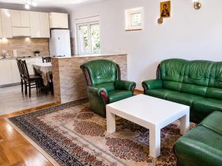 Udoban porodični apartman ViS Raška, 80m2, parking, bašta - 0