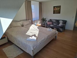 Große Ferienwohnung 84qm mit Garten in Wunstorf - 8