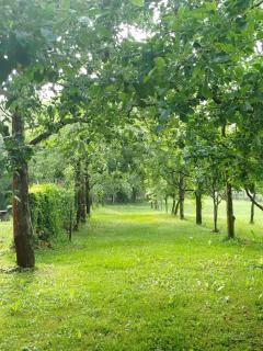Summer Story Countryside House - Ljetna priča - kuća za odmor - 3