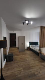 Apartamenty Centrum Plac Wolności ApartHotel wyjątkowy - 5