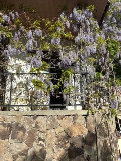 Old Byurakan Gouest House - 8