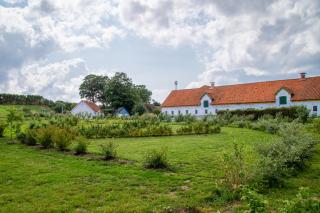 Nøddehaven - 7