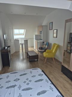 STUDIO COZY 20m2 - 9