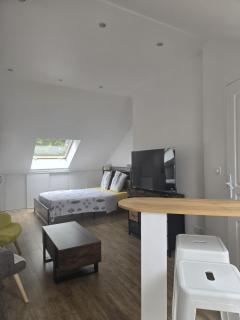 STUDIO COZY 20m2 - 3