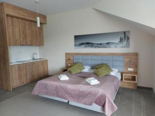 Aparthotel Apartamenty Czarna Góra 311 - 7