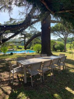 Domaine Les Olivoux - 2