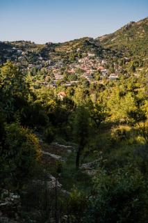 Cedar Cabin Escape, Solar, Terrace & Hiking - 4