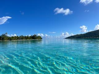 Blue Coral House, Luxury Waterfront - 8