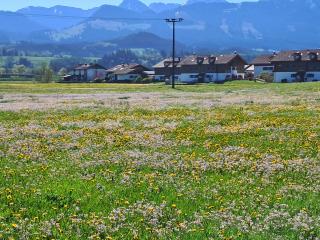 Bauernhof Finkel - Ferienwohnungen mit Balkon - Bergsicht - Traktor mitfahren - Tiere streicheln - entspannter Familienurlaub - zentrale Lage nahe Oberstdorf - 4