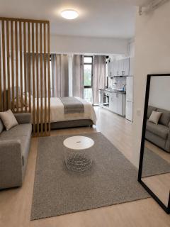 Alba Iulia Residence - Emerald Studio - 7
