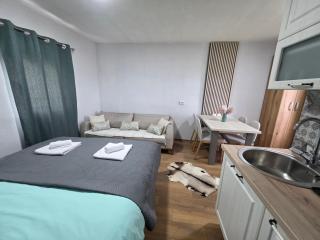 Apartments Javorje Žabljak - Žabljak - 4