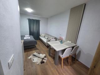 Apartments Javorje Žabljak - Žabljak - 1